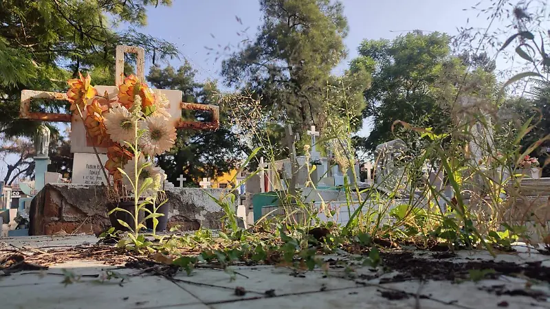 Tumbas-en-el-abandono 